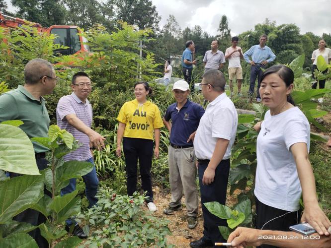 蚕业研究所科技人员,凤冈县技术团长韩陈敏介绍了蚕桑产业发展园规划